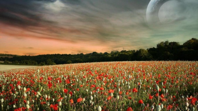 用了几年大厂云服务器，现在想换便宜的，有推荐的吗?